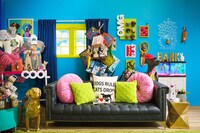 Human-Centric Pet Retail Experiences Image 2