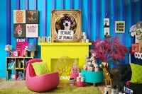 Human-Centric Pet Retail Experiences Image 3
