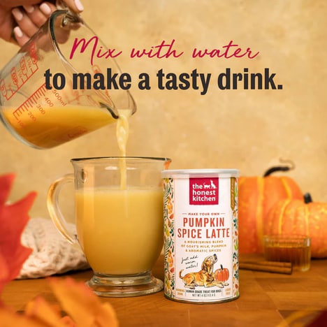 Dog-Friendly Fall Lattes