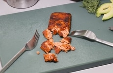 Plant-Based Salmon Fillets