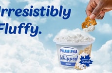 Snacking Dip Brand Initiatives