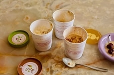 Artisanal Chef Ice Creams