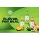 Vibrant Flavorful Tequila Campaigns Image 1