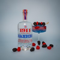 Modernized Loganberry Vodka Packaging