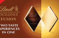 Dual-Flavored Premium Chocolates