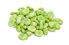 Fava Bean Protein Isolates