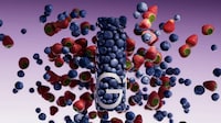 Nutrition Company Flavor Launches Image 2