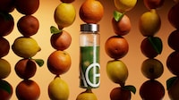 Nutrition Company Flavor Launches Image 4