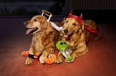 Halloween-Themed Pet Product Collections