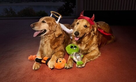 Halloween-Themed Pet Product Collections