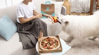 Pet-Pleasing Delivery Menus
