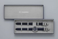 Dapper European Timepiece Models Image 4