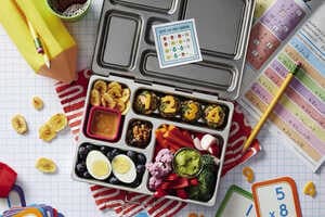 Sectional Lunchbox Models Article Thubnail