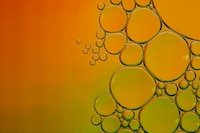 Flavor-Packed Olive Oils
