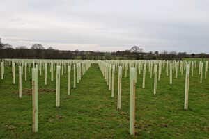 Sustainable Tree-Protecting Shelters Article Thubnail