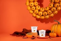 Autumnal Pumpkin Yogurts Image 1