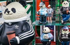 Panda-Inspired Sport Campaigns