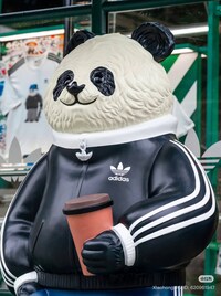 Panda-Inspired Sport Campaigns Image 4