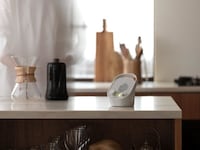 Portable Wireless Sound Systems