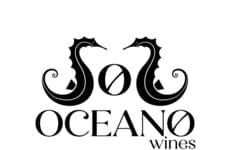 Non-Alcoholic Professional Certification Programs