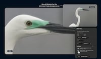 AI-Powered Photo Enlargement Software Image 1