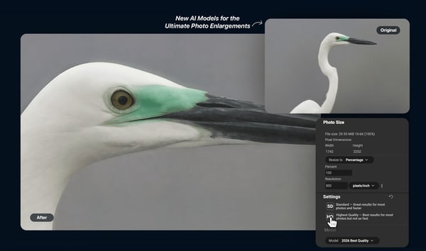 AI-Powered Photo Enlargement Software