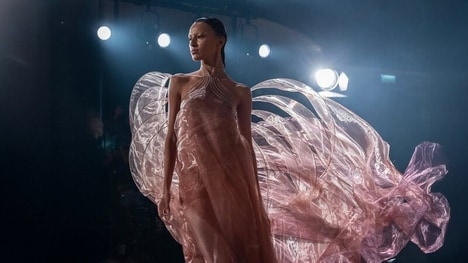 Avant-Garde Biomimicry Fashion Designs