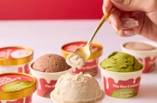 Rice-Based Ice Creams