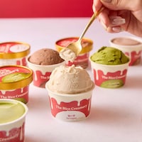 Rice-Based Ice Creams