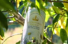 Canned British Palace Cocktails