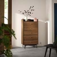 Affordable Midcentury-Inspired Home Decor Image 2