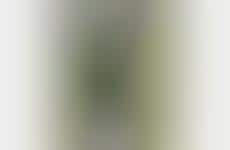 Laidback Golfer Merch Ranges