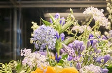 Gastronomic Boutique Cafes