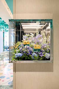 Gastronomic Boutique Cafes Image 3