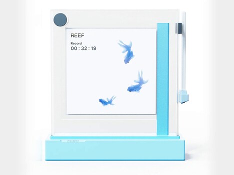 Mindful Digital Aquariums