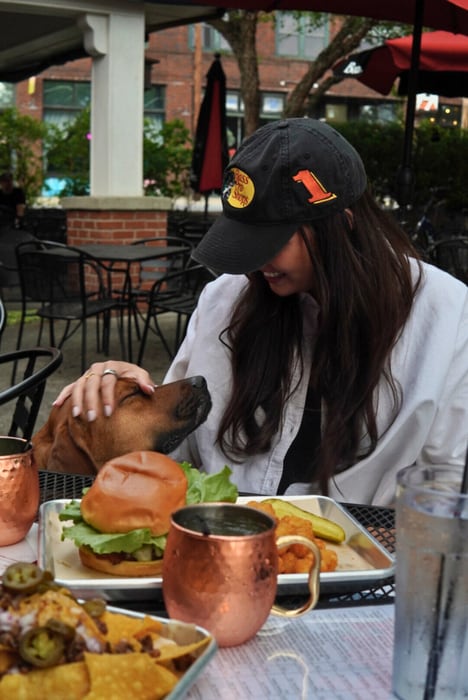 Dog-Honoring Fundraising Campaigns