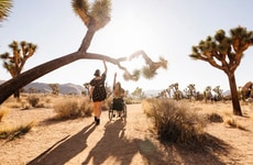 Comprehensive Accessibility Hubs