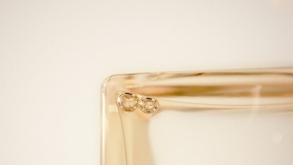 Luxurious Perfume Campaigns