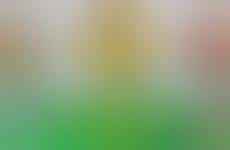 Chef-Crafted Vegetable Blends