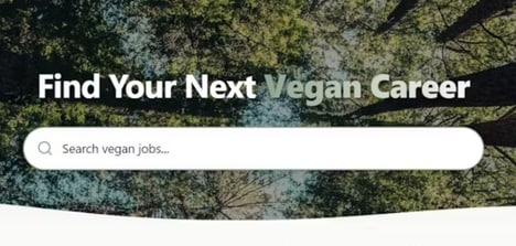 Vegan Career Networks