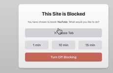 Browsing Productivity Trackers