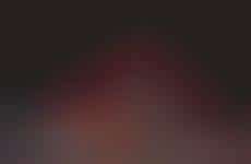 Flavorful All-Dressed Fries