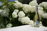 Zero-Sugar Low-Calorie Sparkling Wines Image 1