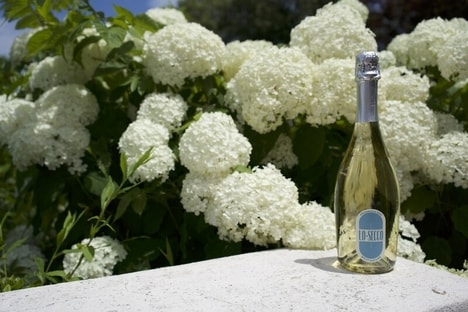 Zero-Sugar Low-Calorie Sparkling Wines