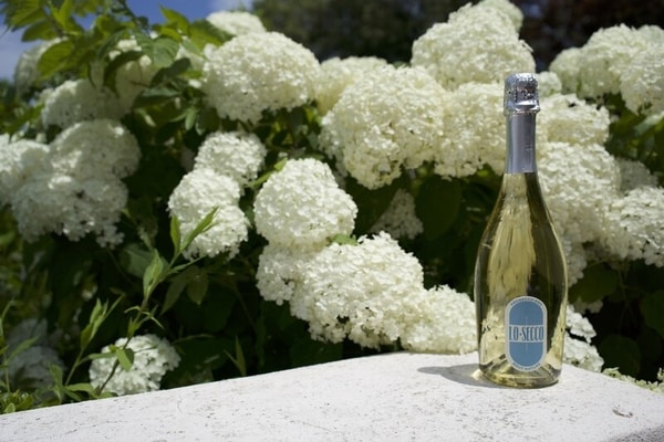 Zero-Sugar Low-Calorie Sparkling Wines