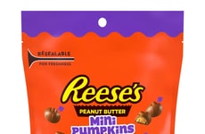 Snacking-Friendly Pumpkin-Shaped Chocolates