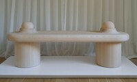 Sculptural Furniture Series Image 3