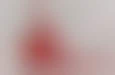 Reassuring Leakproof Underwear Campaigns