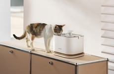 Insightful Pet Fountains