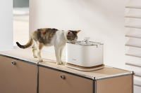 Insightful Pet Fountains